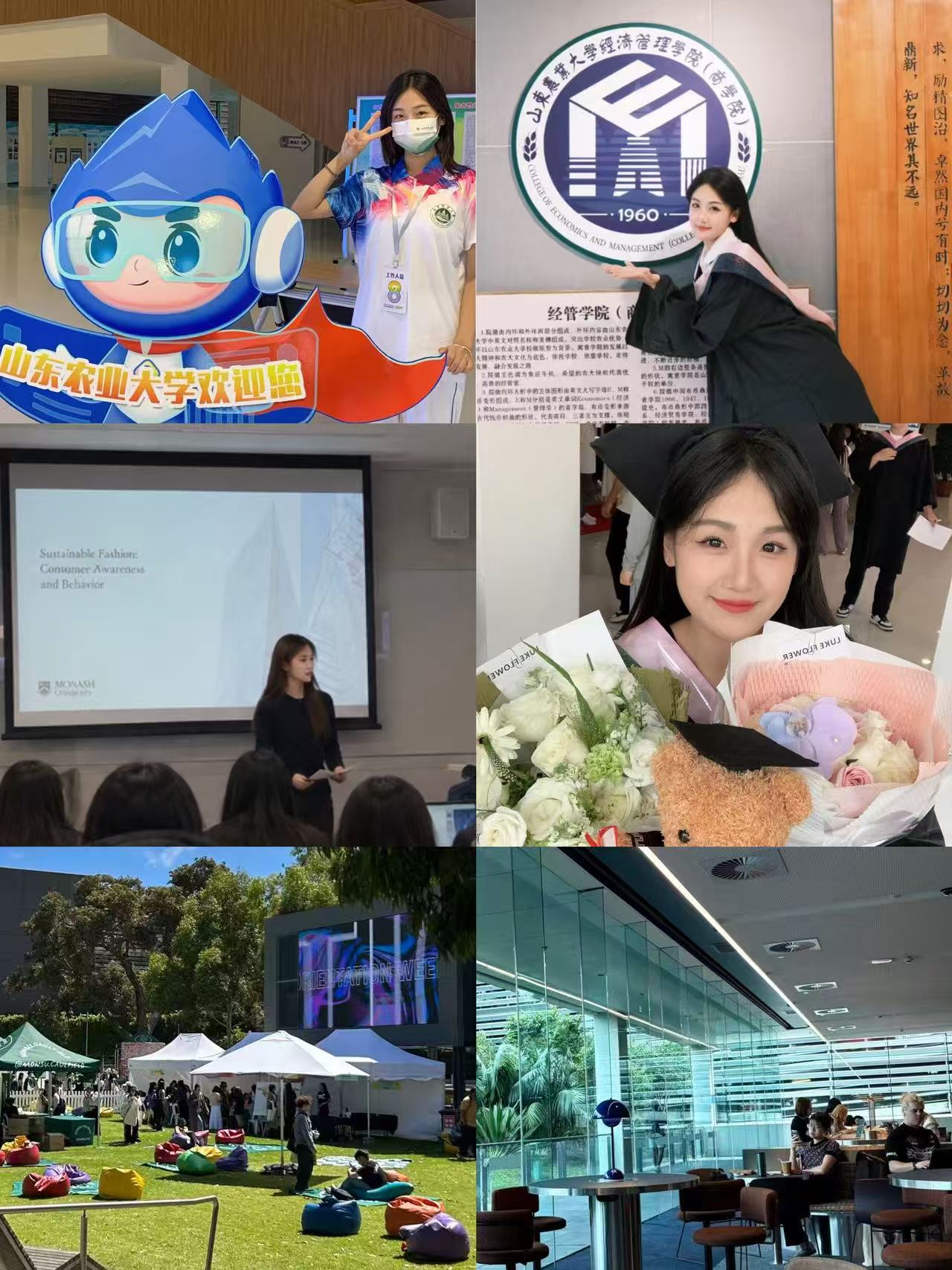 Education background